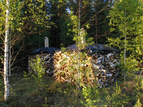 woodpile in Finland