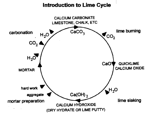 lime cycle