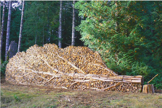 woodpile