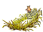 Surfin' Pig; art by Sara Mock. Thanks, Sara! - MJ
